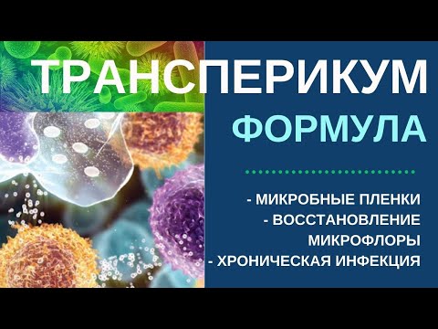 Видео: Трансперикум. Микробные пленки. Хроническая инфекция. Восстановление микрофлоры