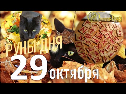 Видео: РУНА ДНЯ / Рекомендации от Наталии Рунной на 29 октября 2025г