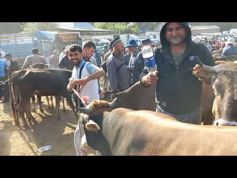 Видео: МОЛБОЗОРИ ШВЕДСАРИЯ 904580010. 22 сентября 2024 г.