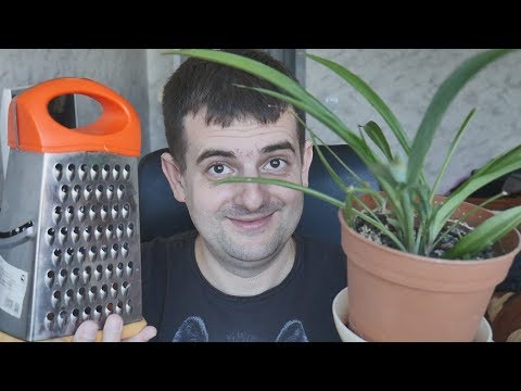 Видео: В 30 жить с родителями это стрёмно или нет! Как ТЫ думаешь?!