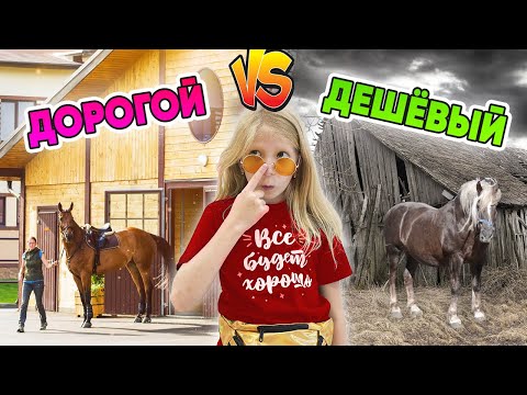 Видео: ДОРОГОЙ vs ДЕШЕВЫЙ КОННЫЙ КЛУБ! ЧТО ВЫБЕРЕТ МИЛАНА?