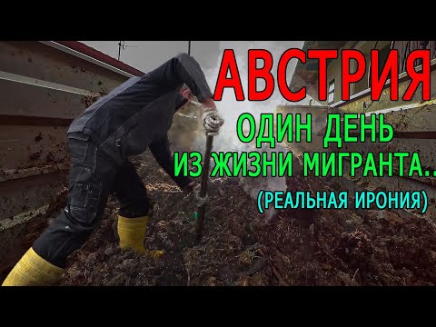 Видео: АВСТРИЯ. Жизнь красивая вполне...Ковыряюсь я в  г...вне....