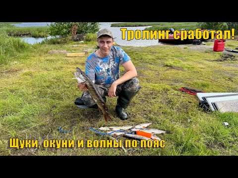 Видео: Троллинг сработал! Рыбалка с женой, чайки и волны по пояс. Рыбалка 2025.