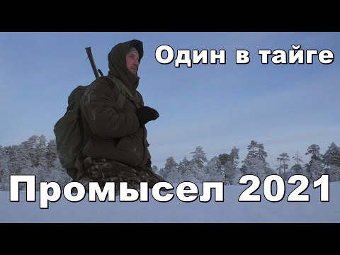 Видео: Промысел 2021,один в тайге,зимовье,быт,вдали от цивилизации #3