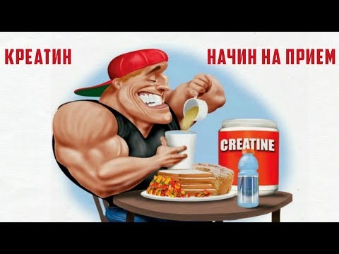 Видео: КРЕАТИН и начин на приемане (Ст. Жеков)