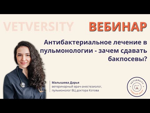 Видео: Антибактериальное лечение в пульмонологии - зачем сдавать бакпосевы?