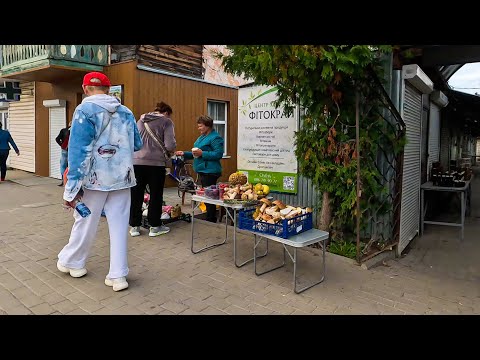 Видео: СХІДНИЦЯ 2024 | Ціна білих грибів! Центральні вулиці та дорога до сувенірного ринку! 4к |