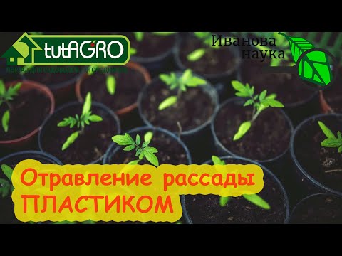 Видео: ВОНЮЧИЙ ПЛАСТИК ДЛЯ  РАССАДЫ.В какой пластик можно сажать рассаду?