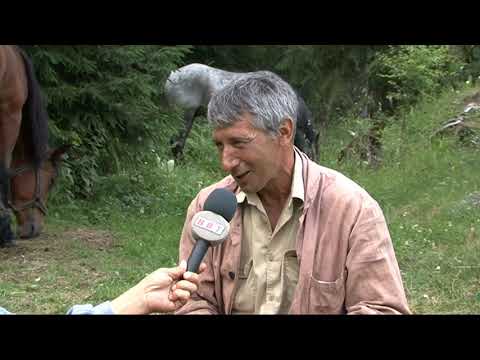 Видео: В Родпите за дърва с коне в гр. Доспат_www.digitalstudio.bg