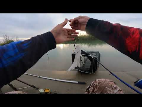 Видео: ОСЕННЯЯ РЫБАЛКА на ПОПЛАВОК , на РЕКЕ !!! Бешеный клёв воблы .