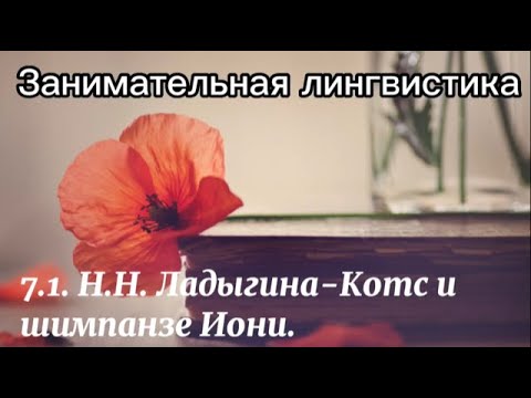 Видео: 7.1. Ладыгина-Котс. Эксперименты.