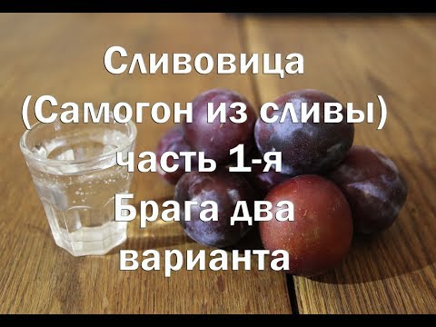 Видео: Сливовица или сливовый самогон ,  2 варианта браги на диких и на культурных дрожжах. Видео 18+