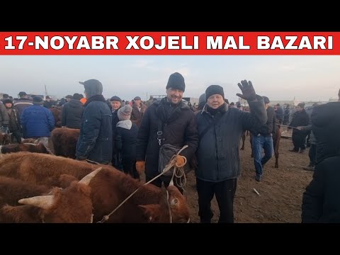 Видео: 17-НОЯБРЬ/ХОЖЕЛИ МАЛ БАЗАРЫ/СКОТНЫЙ РЫНОК/BUQALAR/BIG BULLS IN THE WORLD/BIG COW