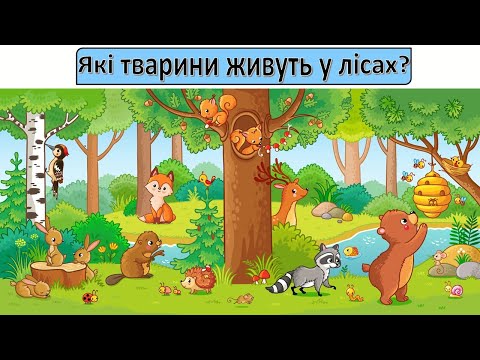Видео: Урок 73  Які тварини живуть у лісах? Я досліджую світ 3 клас