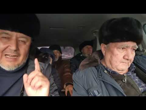 Видео: Гайморитни давоси оддий БУРНАКИ ўсимлиги экан. Умархон табиб. 📞+998906429536. Наманган шахри.