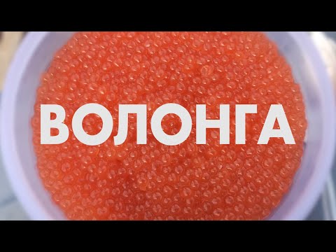 Видео: Волонга