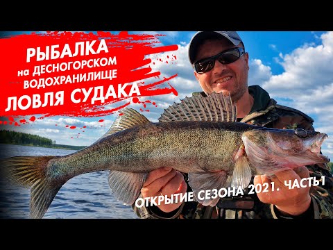 Видео: Рыбалка на Десногорском водохранилище. Открытие сезона 2021. Ловля судака. Часть 1