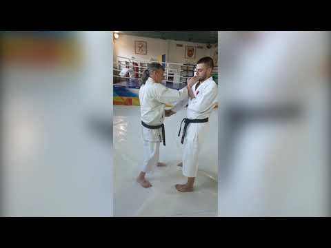 Видео: Углы и ощущение пространства в традиционном карате-до