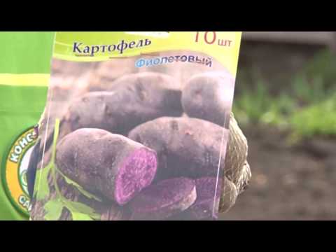 Видео: КОНСУЛЬТАНТ САДОВОДА 211