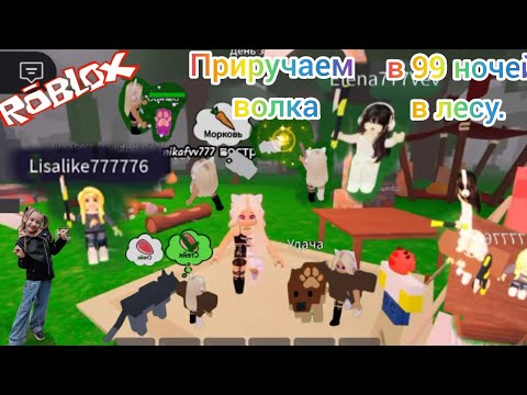 Видео: Приручаем волка в 99 ночей в лесу.#Роблокс, #roblox