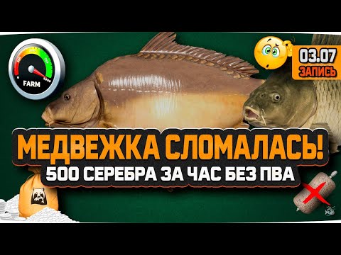 Видео: Русская Рыбалка 4 — Фарм 500 монет на оз. Медвежьем без Прикорма и ПВА на 26 уровне!