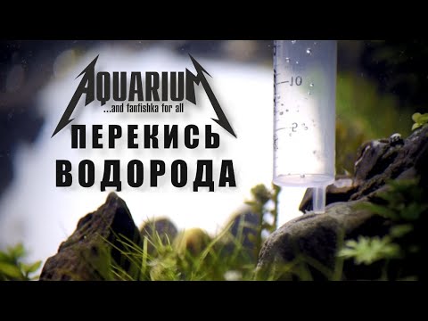 Видео: Аквариумные хитрости и лайфхаки: перекись водорода for all