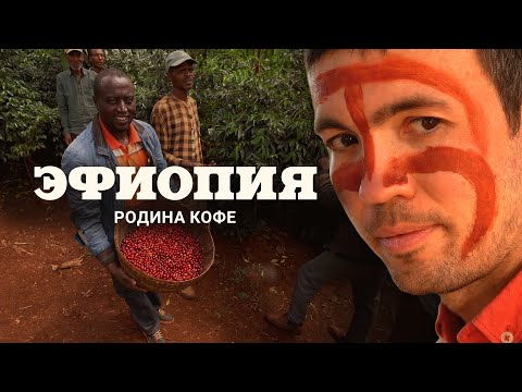 Видео: Эфиопия. Родина кофе