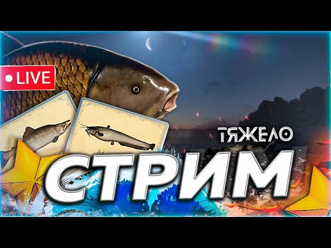 Видео: 🍁 ТЯЖЕЛО 🍂 ВЯЗКАЯ РЫБАЛКА НА ЛОСОСЯ СОМА ХАРИУСА ОСЕТРА Русская Рыбалка 3aekkk РР4