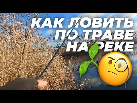 Видео: Все секреты ловли окуня осенью по холодной воде! Как ловить по траве на реке?