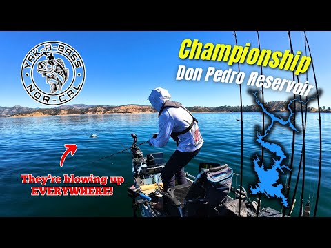 Видео: Nor-Cal Yak-A-Bass TOC - Водохранилище Дон Педро (2025)