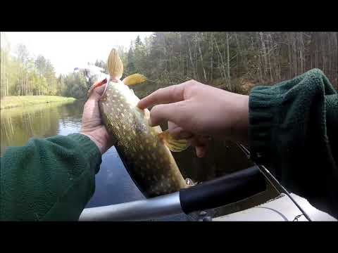 Видео: Сезон открыт  река БЕРЕЗАЙКА