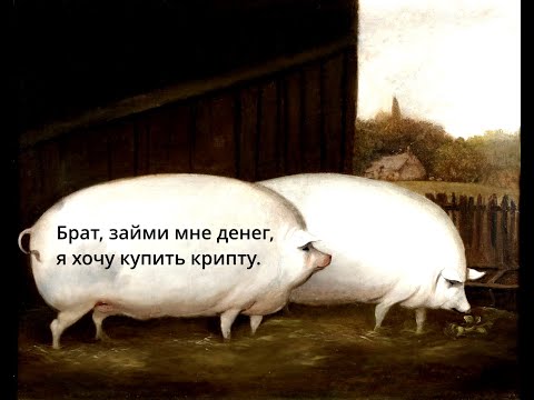 Видео: Брат, займи мне денег, я хочу купить крипту.