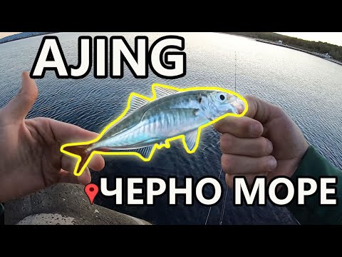 Видео: РИБОЛОВ НА САФРИД НА СИЛИКОН. РИБА СЛЕД РИБА