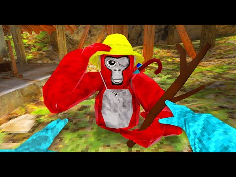 Видео: 5 судей-палок в 1 ВИДЕО