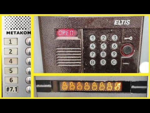 Видео: ПО ДОМОФОНАМ #7.1 | БЕВАРДЫ | БЕВАРДЫ | и еще чуть-чуть НЕ БЕВАРДЫ