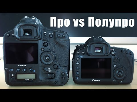 Видео: Почему 1DX - PRO, а 5D Mark III - полуPRO? Боится ли Canon слона? И причём тут вообще 6D...