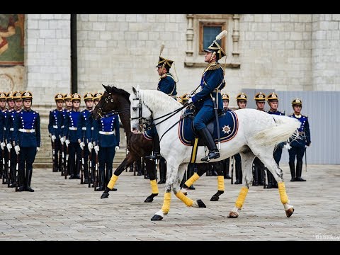 Видео: Лошади президентского полка как их готовят к показам