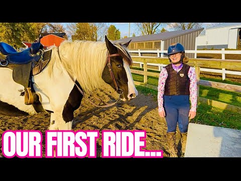 Видео: Справится ли Жизель с FSE? Я нервничаю! 😬