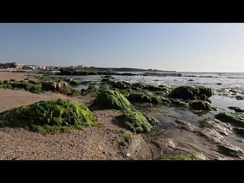 Видео: Утро в с.Равда, Болгария /Ravda, Bulgaria