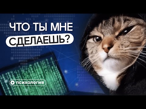 Видео: Кибербуллинг: главная пытка и наслаждение интернета. Почему мы стали злее?