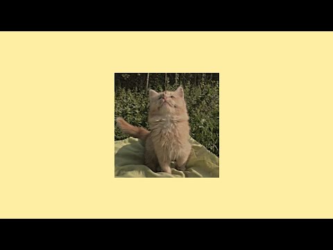 Видео: виктор цой - звезда по имени солнце (speed up)