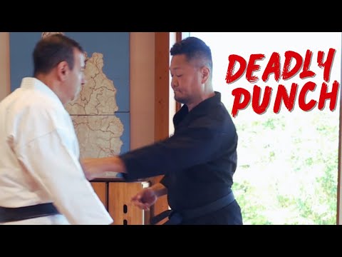 Видео: Безумный смертельный удар от японского мастера карате!