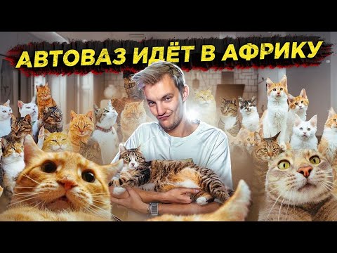 Видео: В Audi узнали про YouTube | АвтоВАЗ возвращается в Африку | Депутаты против шумных авто