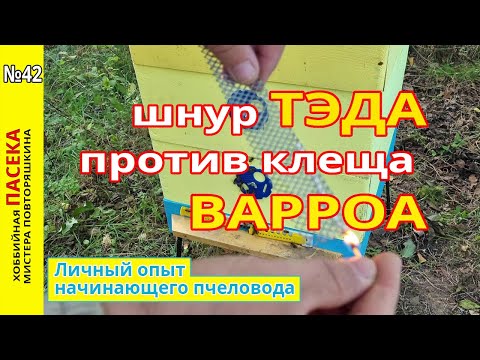 Видео: Обработка шнуром тэда от клеща ВАРРОА (от варратоза). Личный опыт начинающего пчеловода.