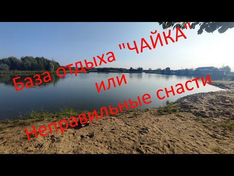 Видео: База отдыха Чайка или Неправильные снасти