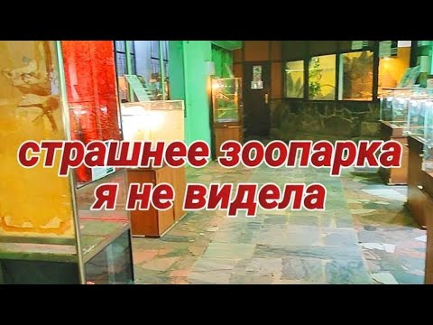 Видео: Влог: Старый и новый зоопарк в Казани/ Стрит-арт на заброшенной фабрике.