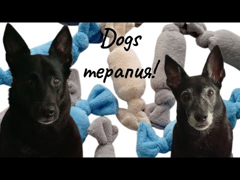 Видео: Про психологию, но это не точно в прямом эфире импровизируем 🤣
