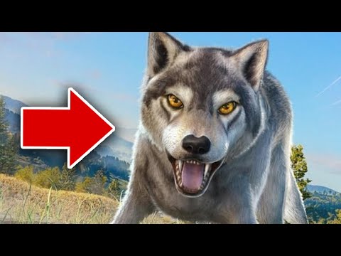 Видео: ВОЛК охотится на ПИНГВИНОВ в The Wolf