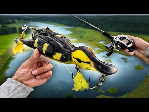 Видео: Ловля утки на болоте, полном щуки... 🐊