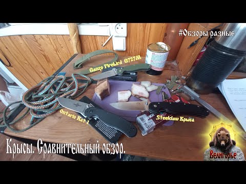 Видео: Три крысы. Сравнительный обзор